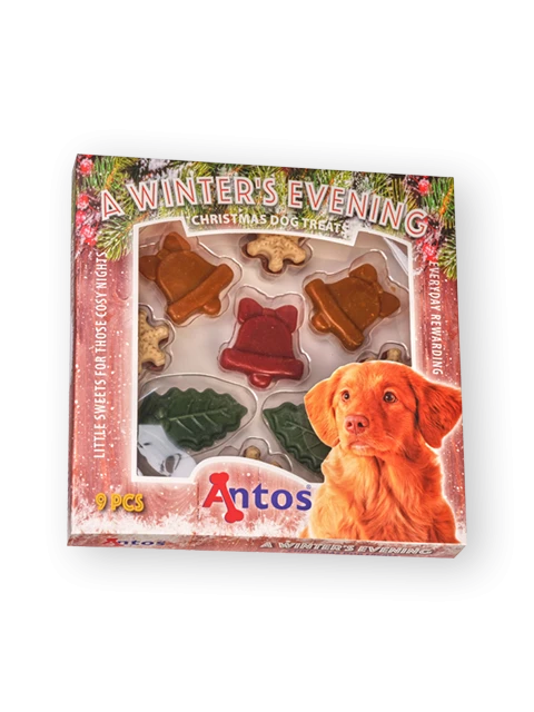 Una sera d'inverno 9 pezzi