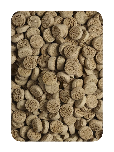 Antos Agnello&Riso Taler 10 kg