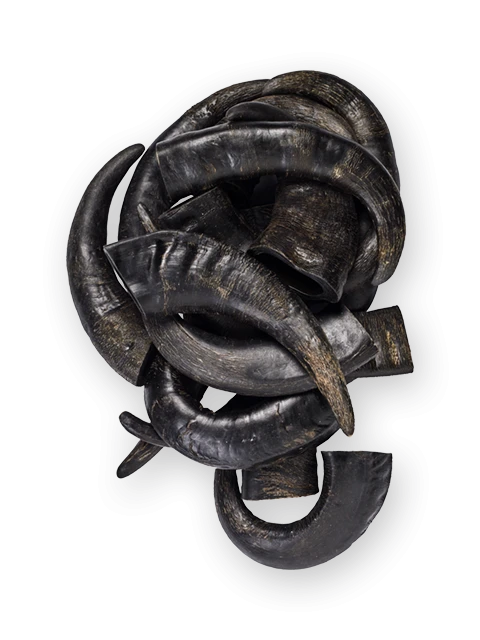 Corno di Bufalo 5 kg