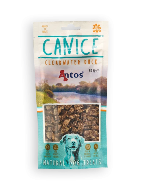 Canice Anatra 80 gr