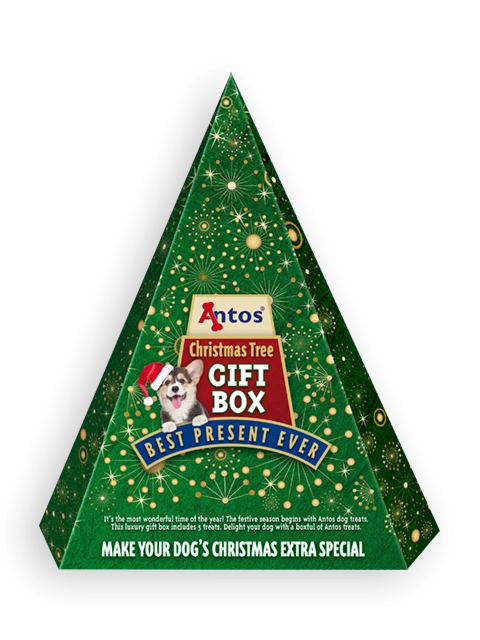 Confezione regalo di Natale