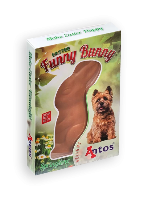 Coniglietto di Pasqua