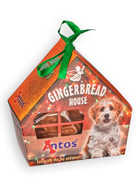 Casa di pan di zenzero