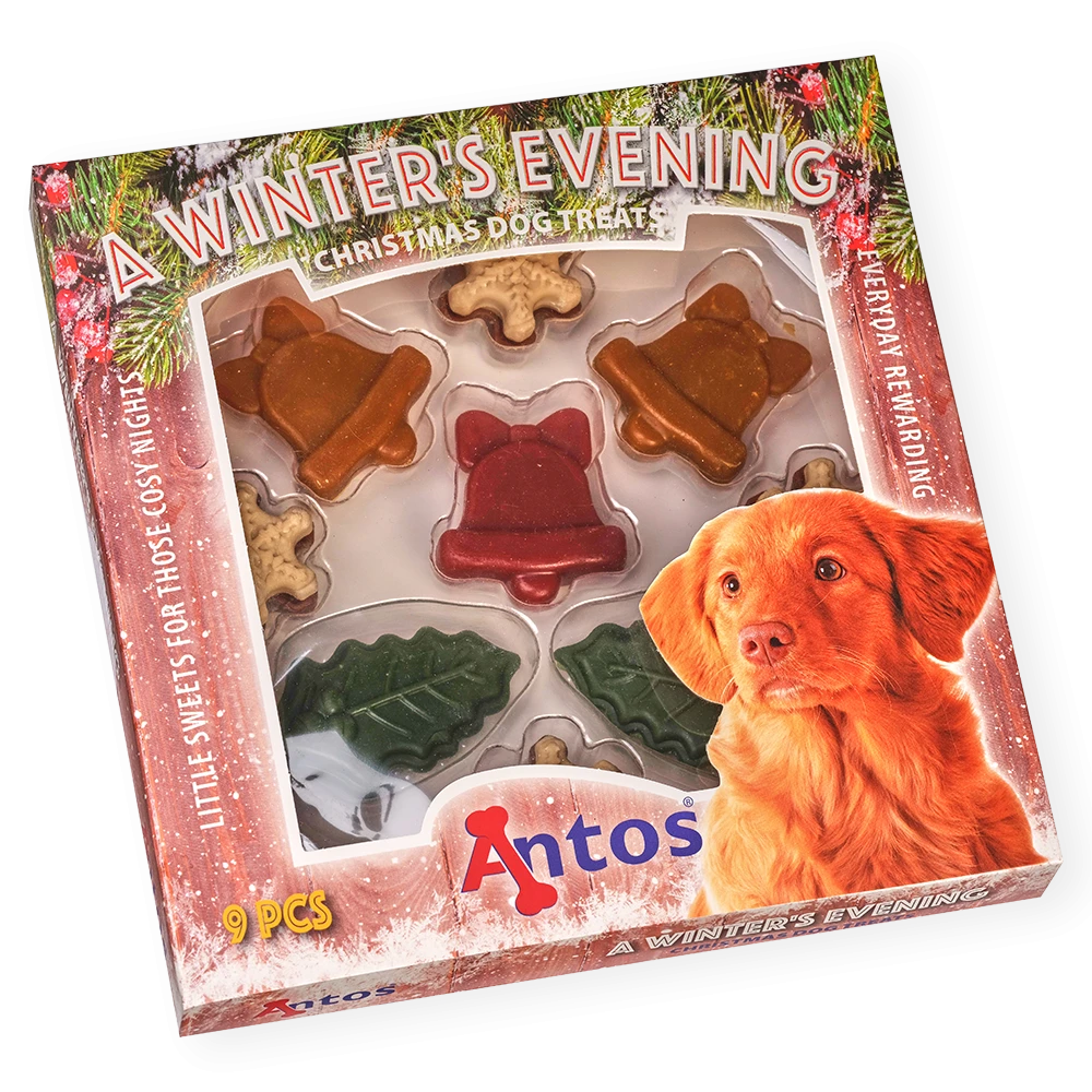 Una sera d'inverno 9 pezzi