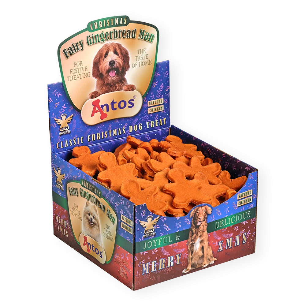 Omino di Pan di Zenzero