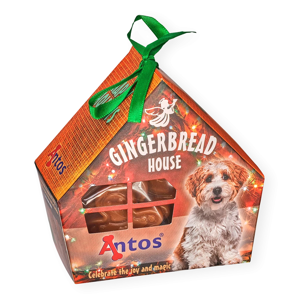 Casa di pan di zenzero