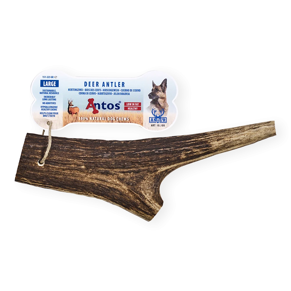 Gourmore Corno di Cervo Large 151-225 gr