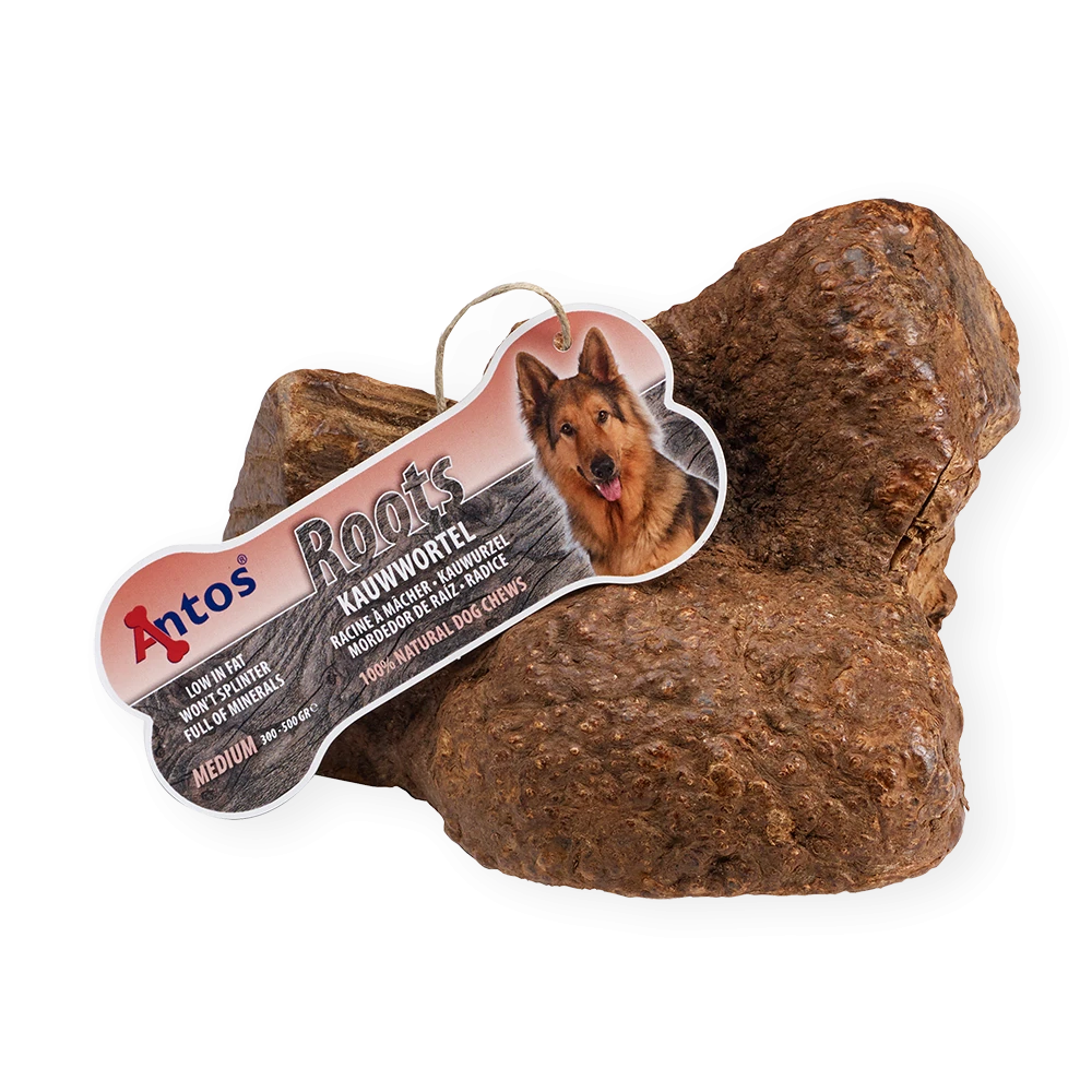 Gourmore Radice Medium 300-500 gr