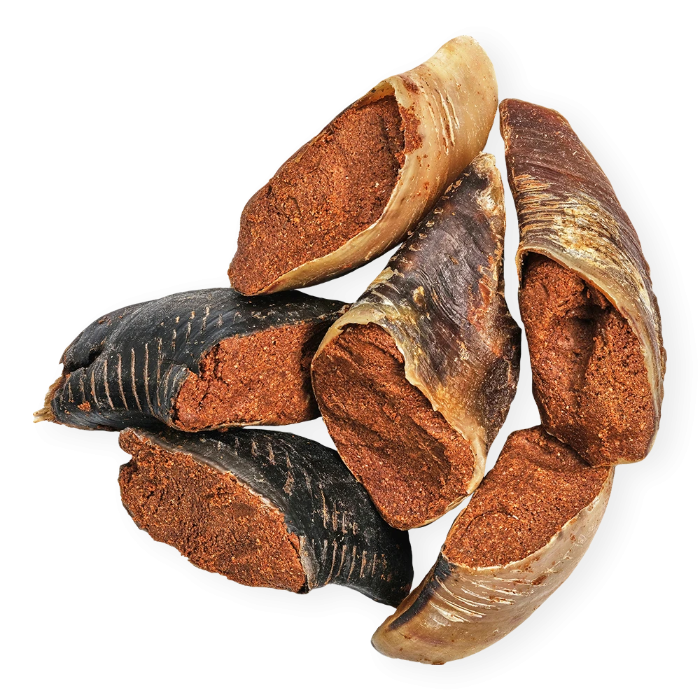 Zoccolo di Bovino Carnoso
