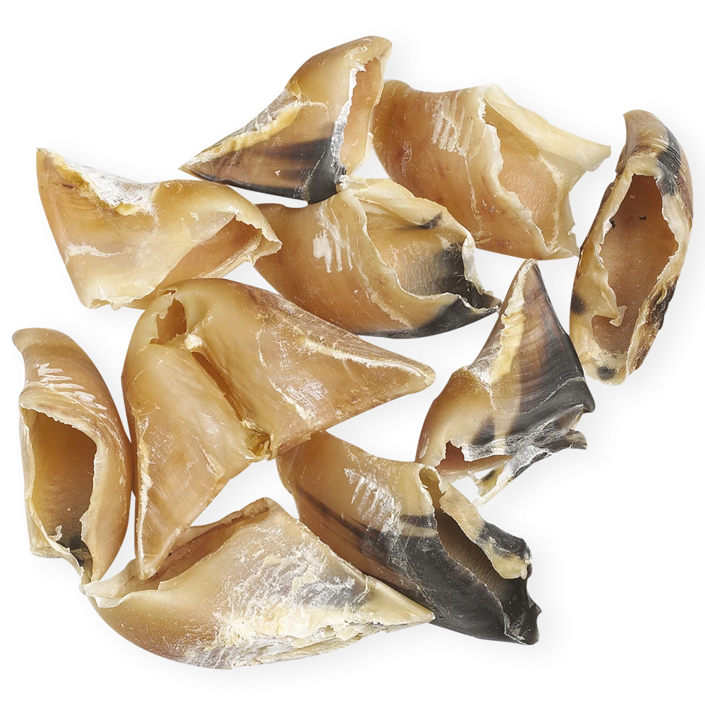 Zoccolo di Bovino