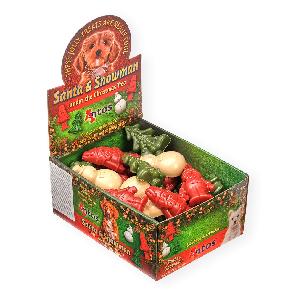 Babbo Natale e il Pupazzo di neve