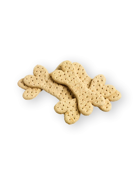 Agnello Biscotto Grande