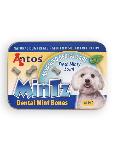 MinTz Dental Mint Bones 40 pezzi