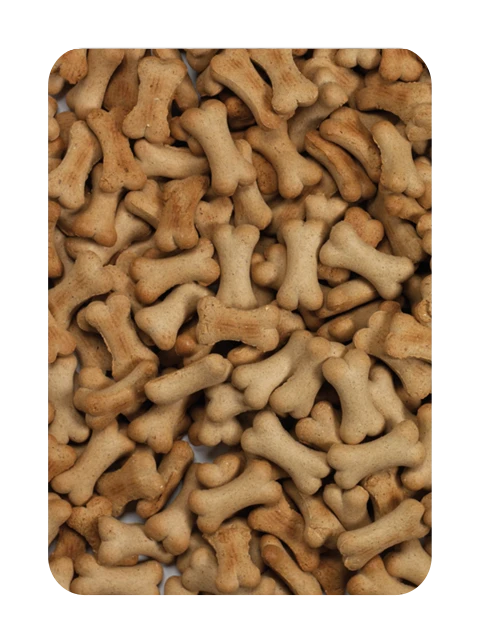 Puppy Agnello&Riso 10 kg