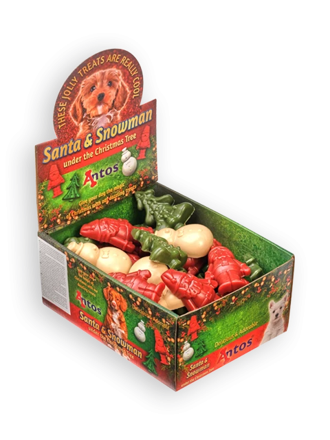 Babbo Natale e il Pupazzo di neve