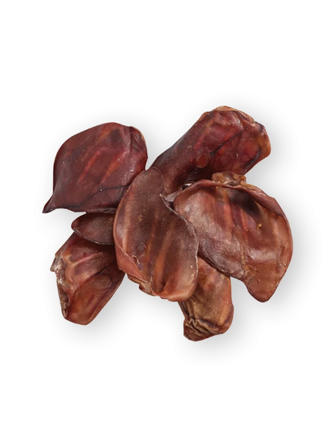 Orecchie di Maiale grande