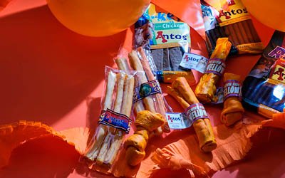 Tifare con gli snack arancioni per cani