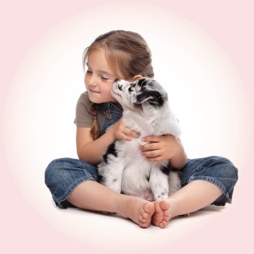 Dai il benvenuto al nuovo cucciolo