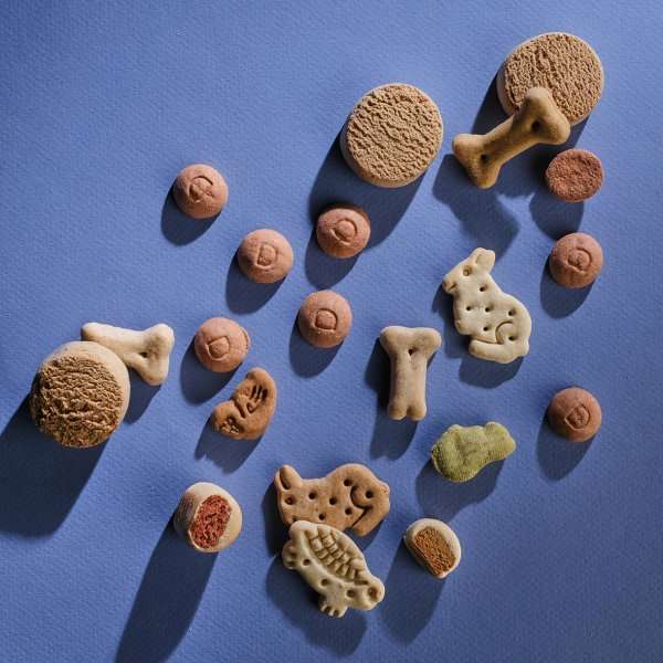 Biscotti nel secchio