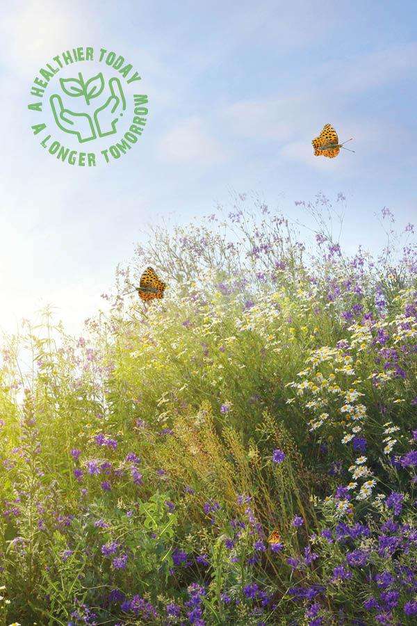 Stile di vita sostenibile