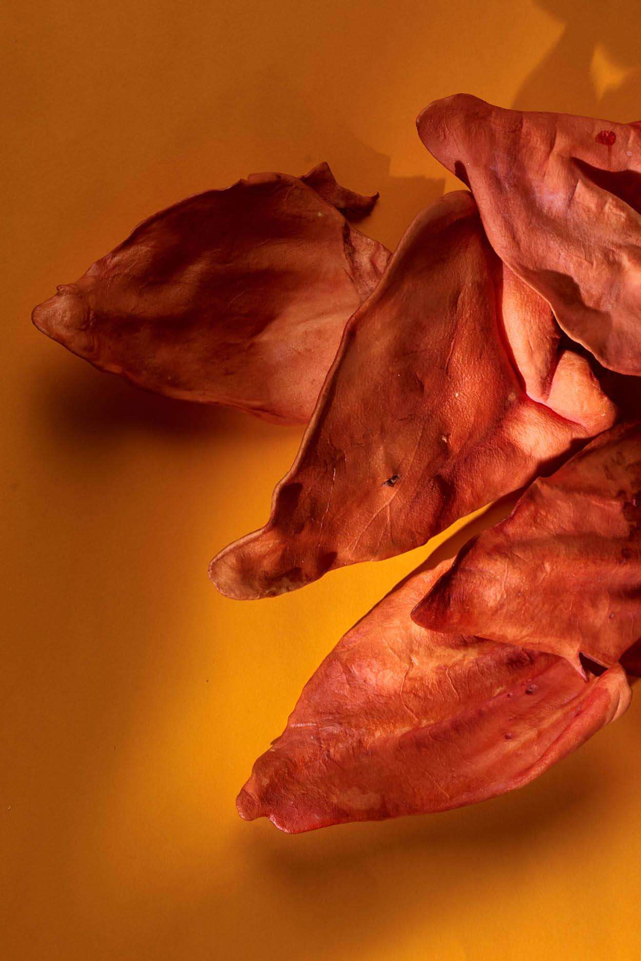 Snack per cani naturali