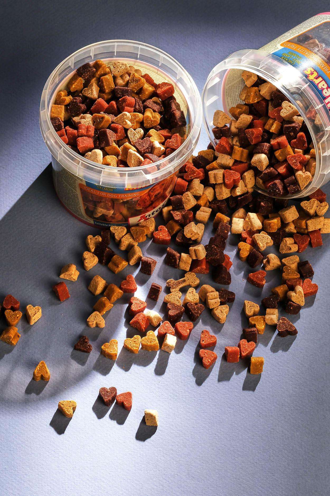 Croccantini per cani