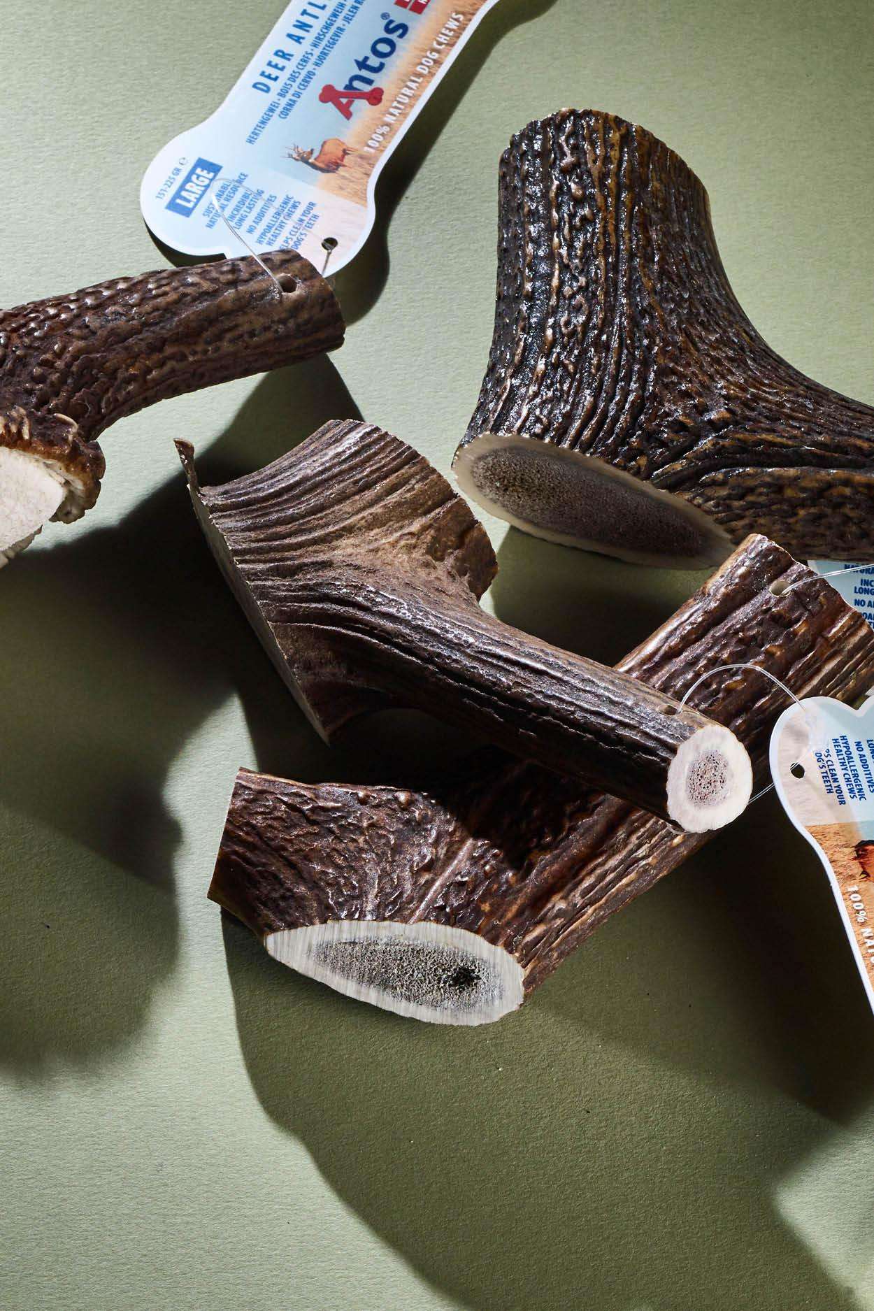 Ossa per cani in corno