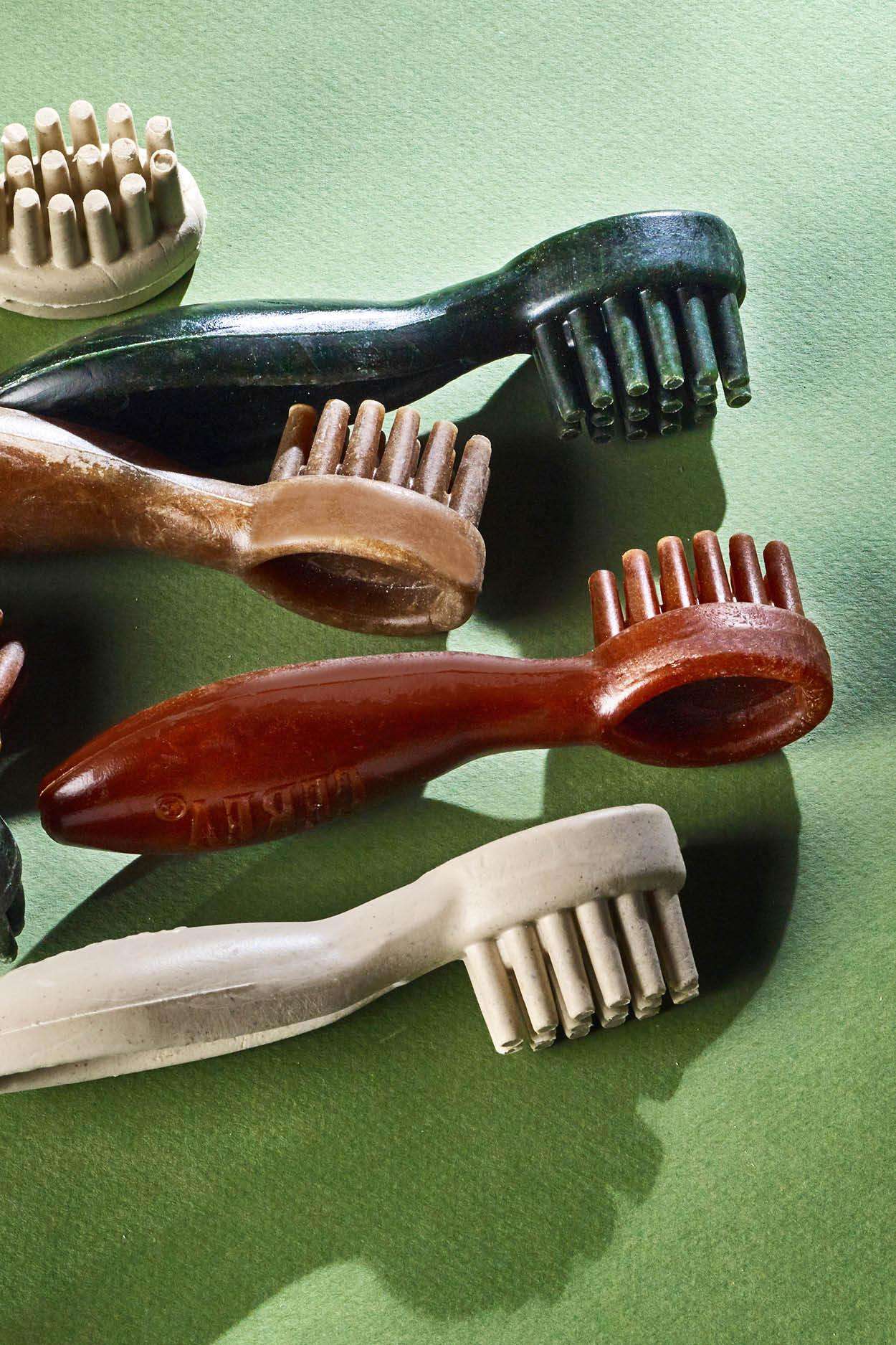 Ossa per cani dentali