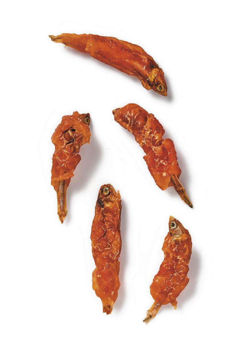 Croccantini per gattini con carne o pesce