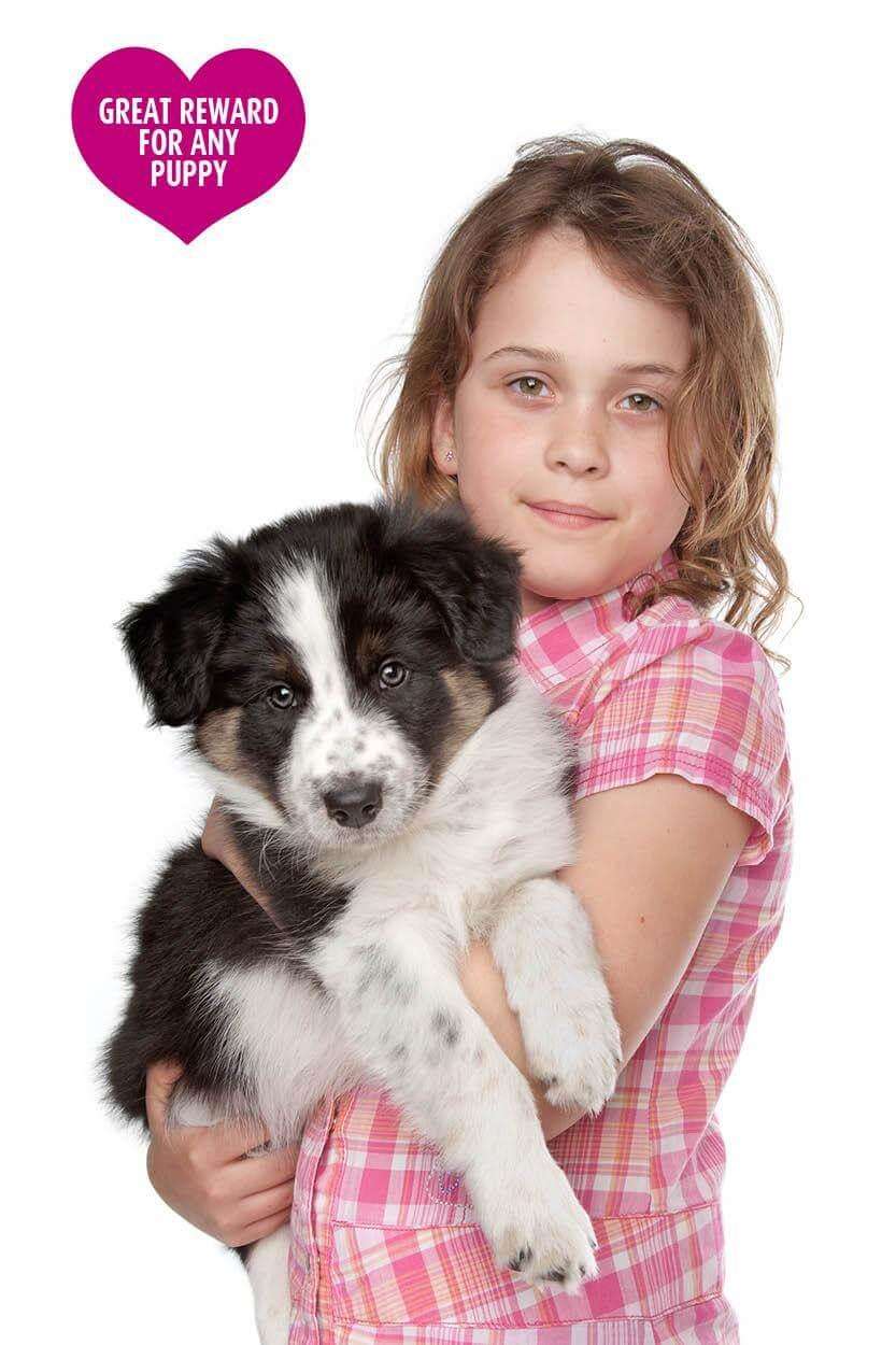 Biscotti e croccantini per l’addestramento dei cuccioli