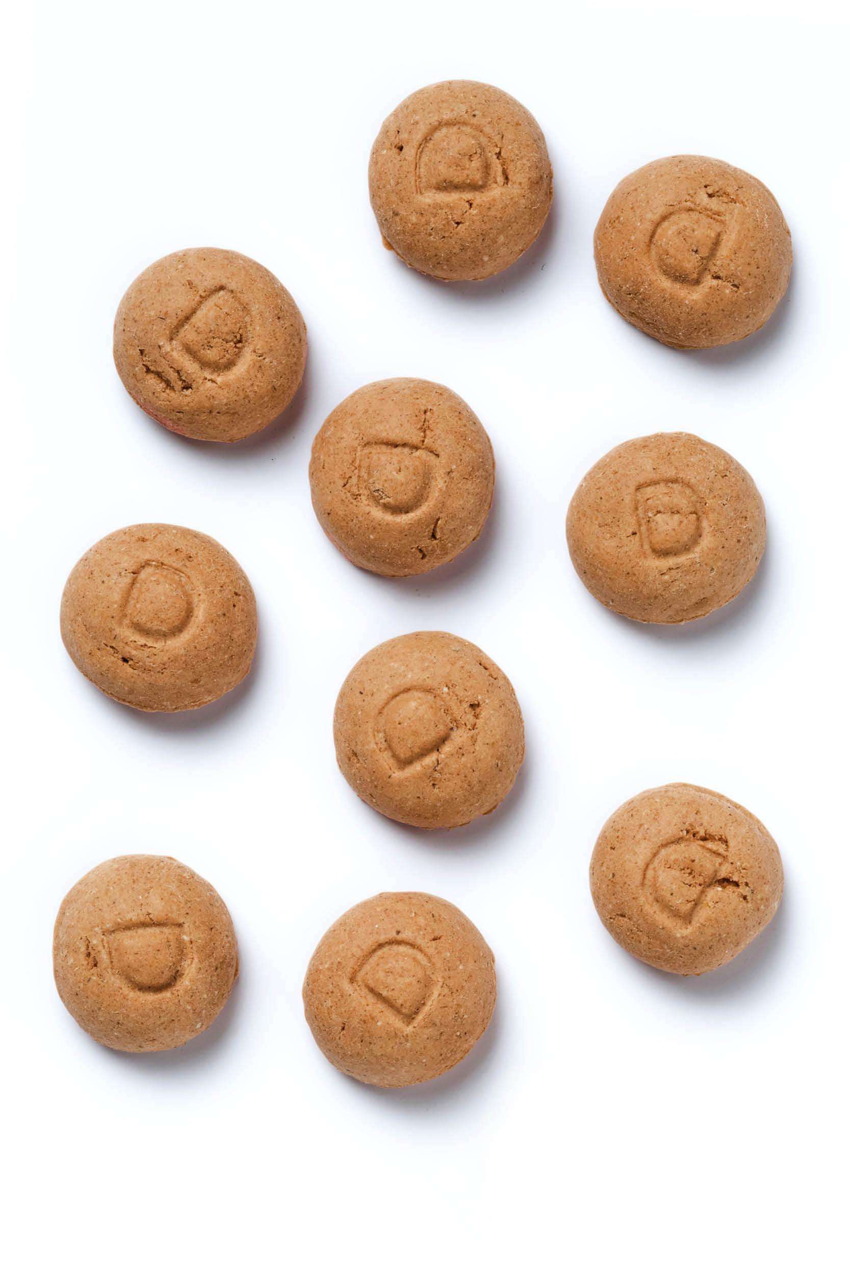 Vizia il tuo cane per la festa di San Nicola