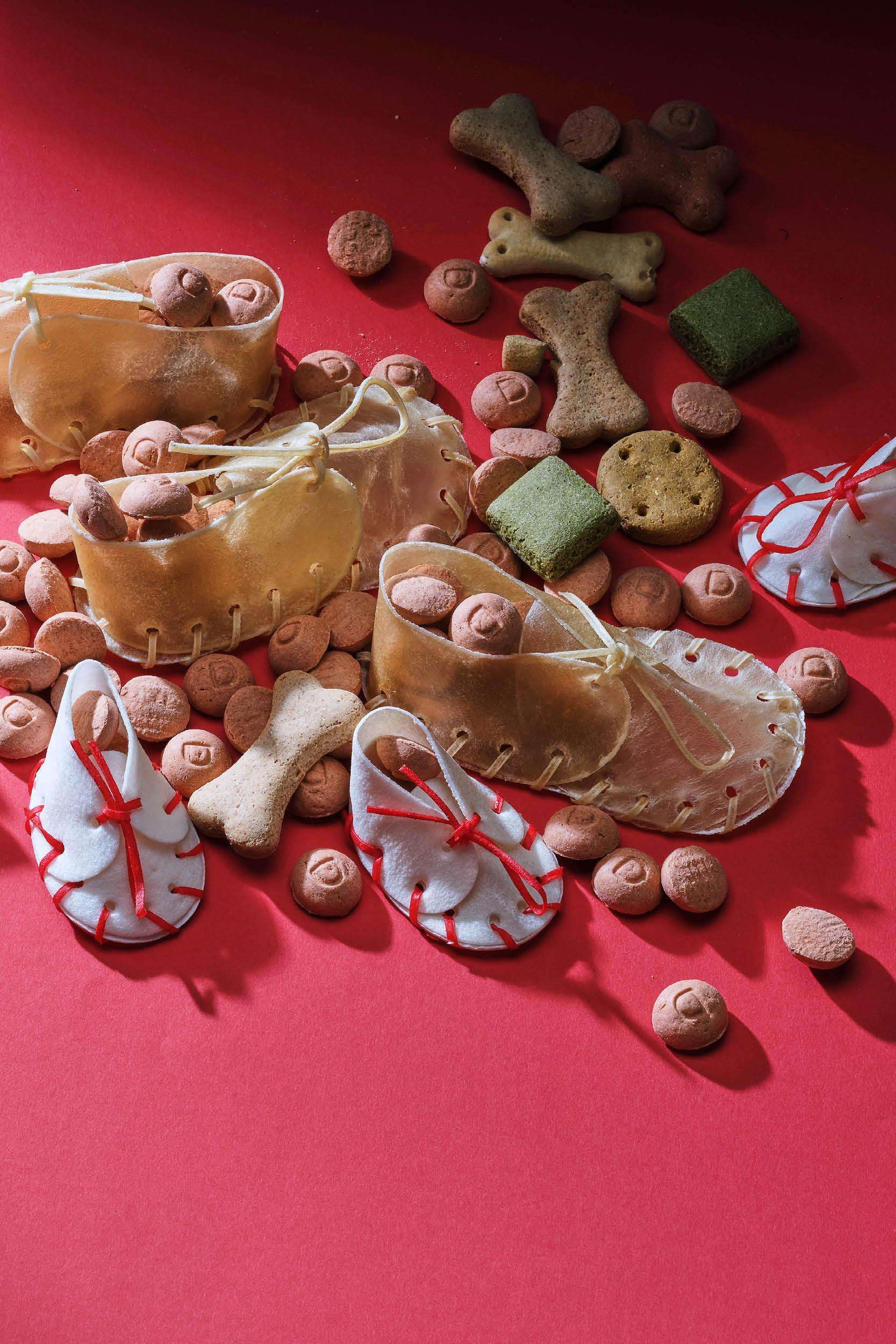 Regali di San Nicola per il tuo cane.