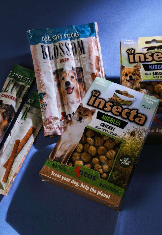 Proteggiamo i nostri animali domestici