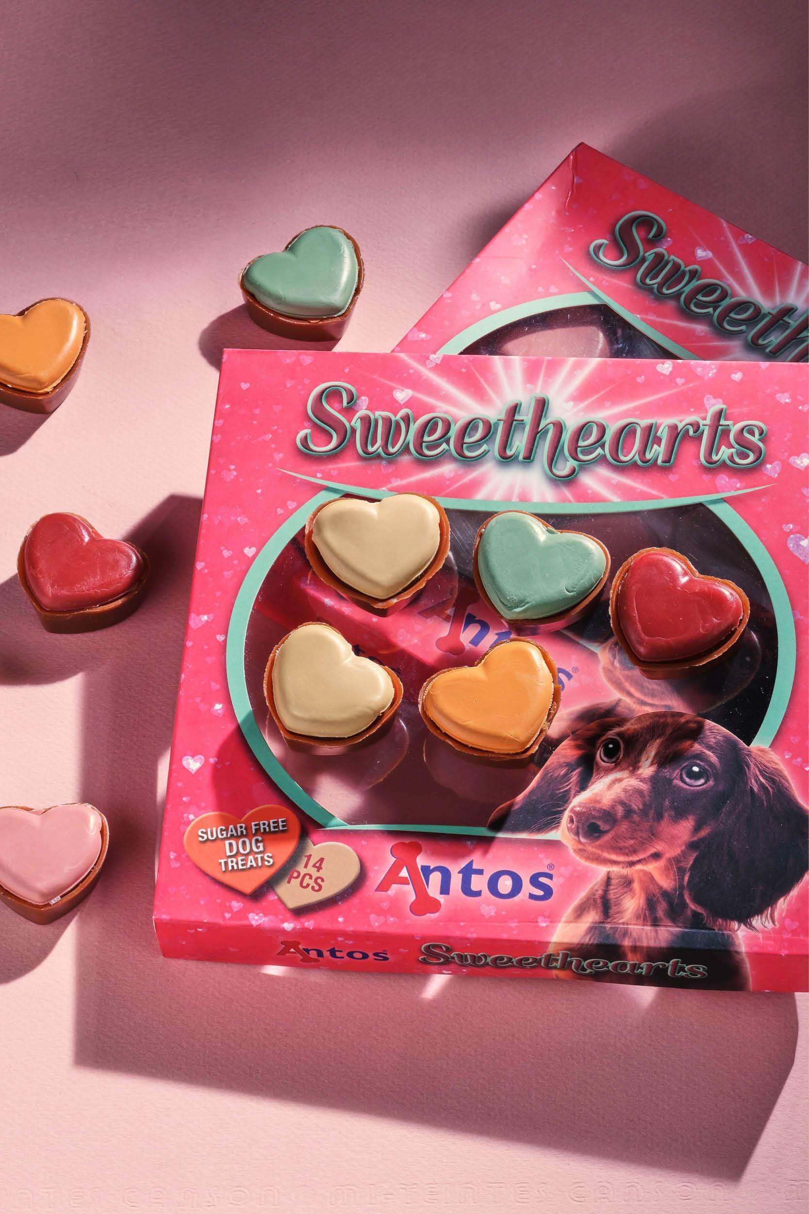 San Valentino per i cani