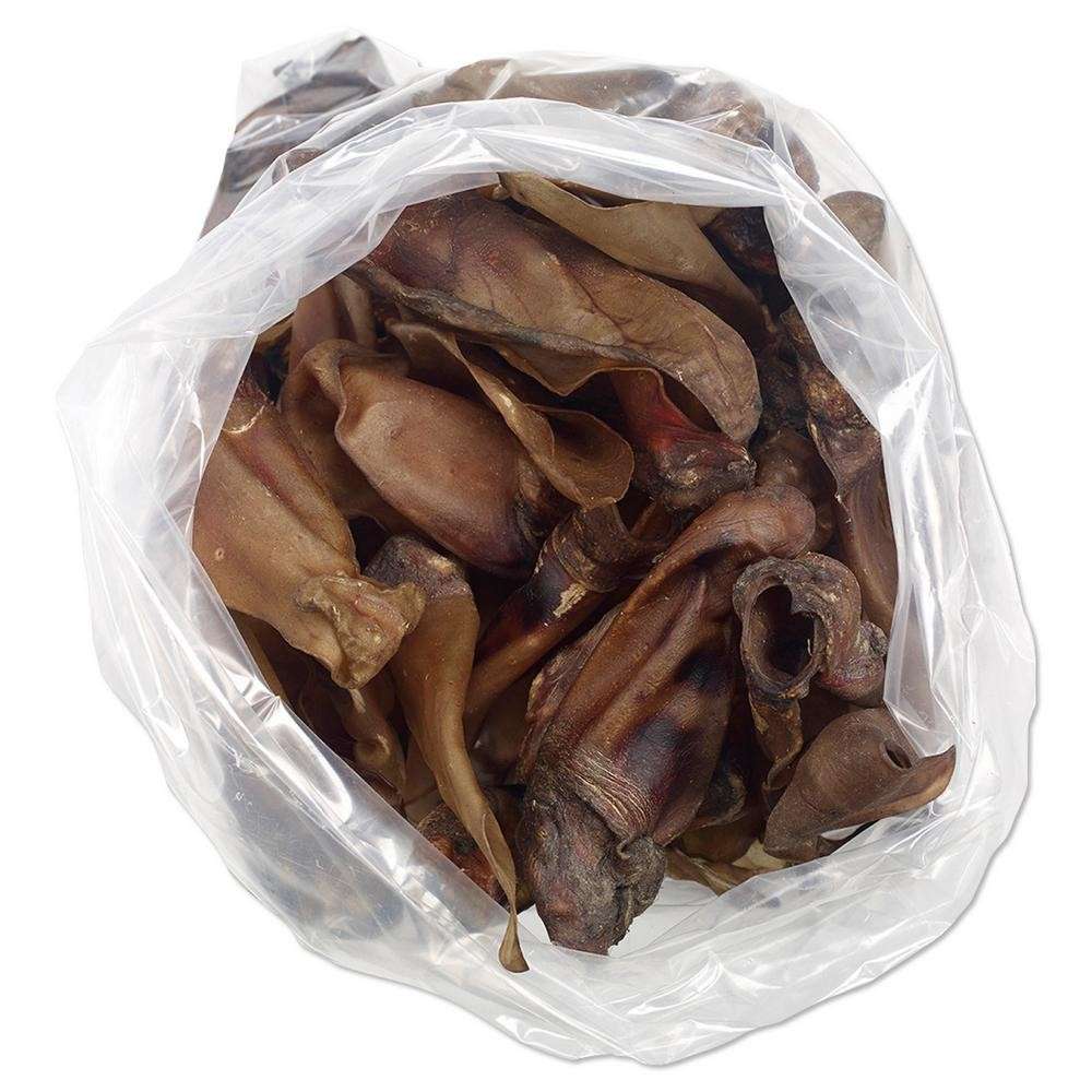 Orecchie di Manzo XL con guscio