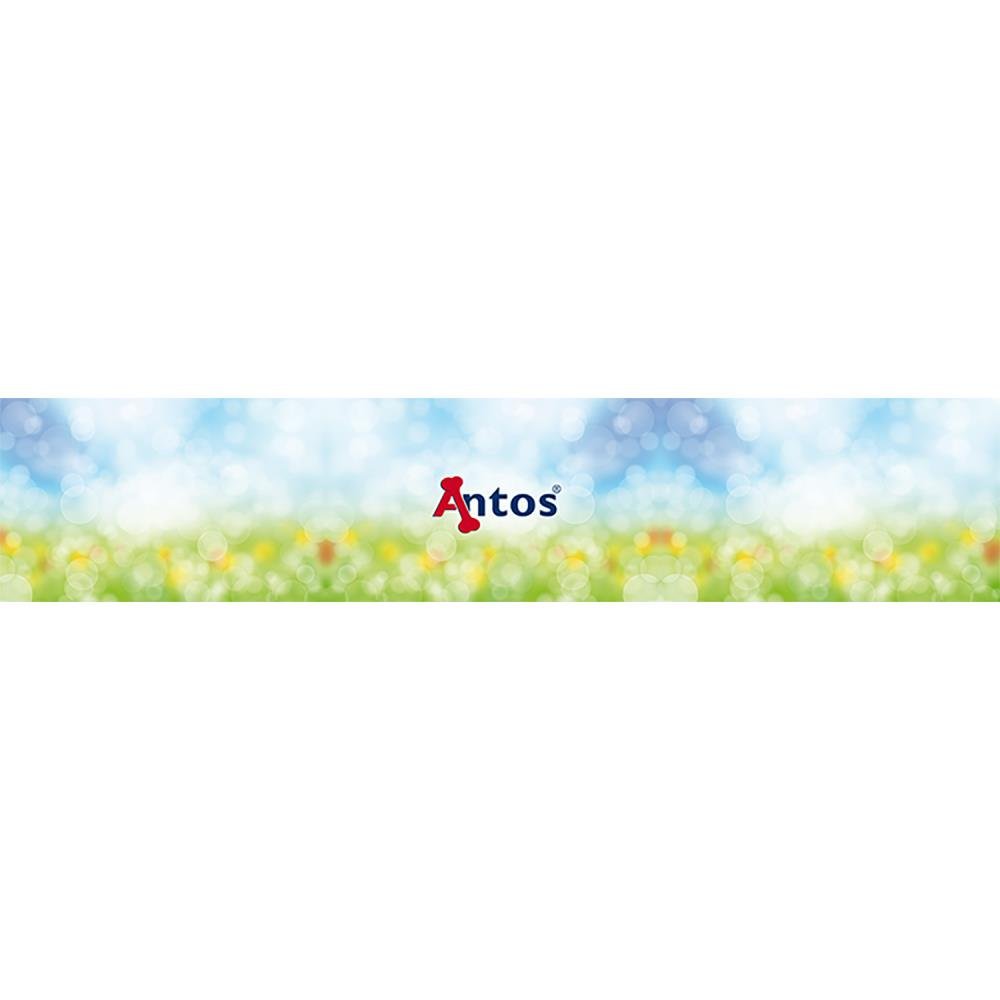 Signing 1000 - Antos