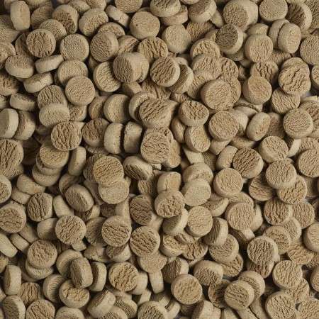 Antos Agnello&Riso Taler 10 kg