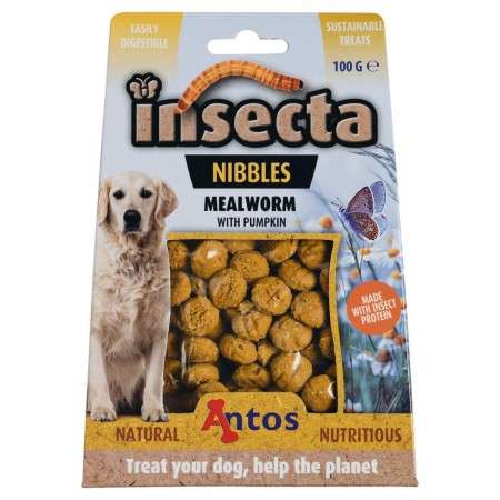 Insecta Nibbles Tarma della Farina & Zucca 100 gr