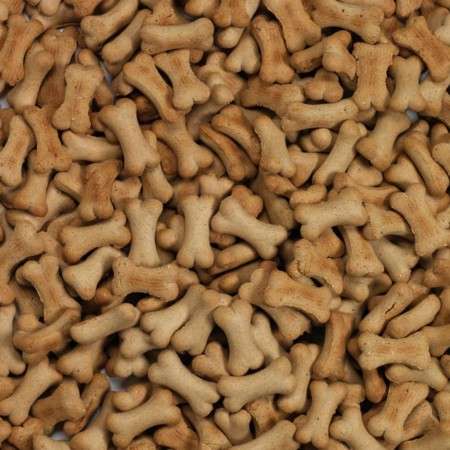 Puppy Agnello&Riso 10 kg