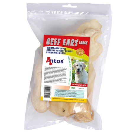 Orecchie di Manzo grande 4 pezzi