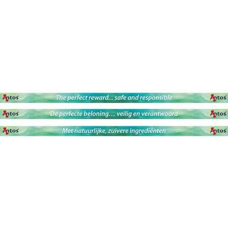 Strisce di ripiano 980x39 mm 10 pezzi